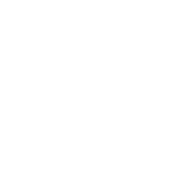 Dark logo
